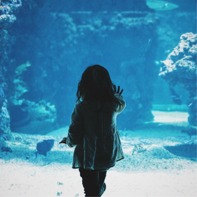 Small child against aquarium glass